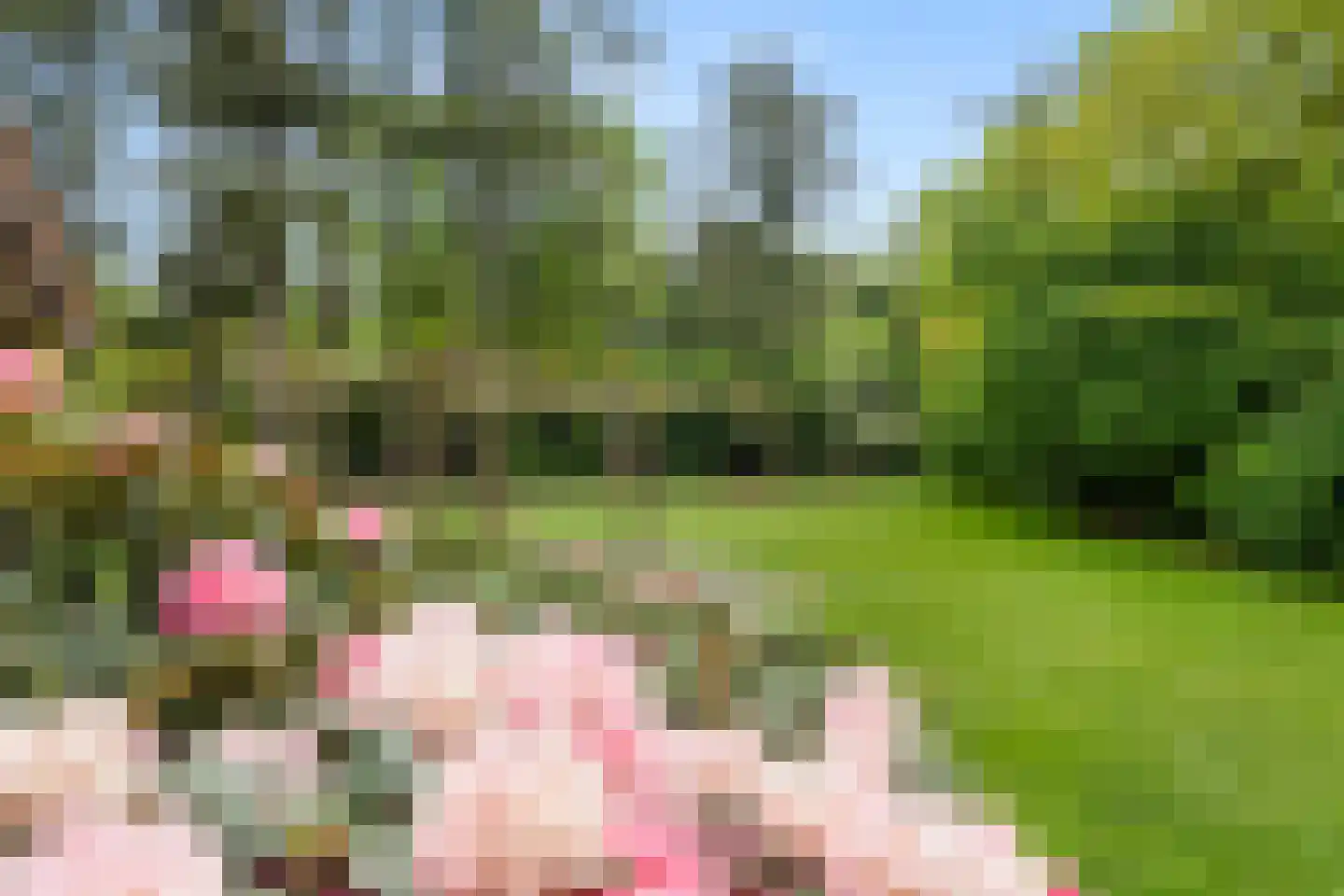 Mosweg 1 A Bennekom thumbnail 33