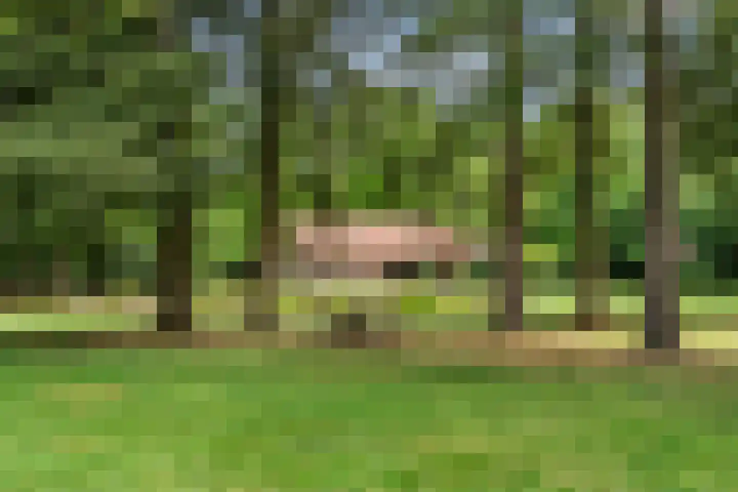 Mosweg 1 A Bennekom thumbnail 36