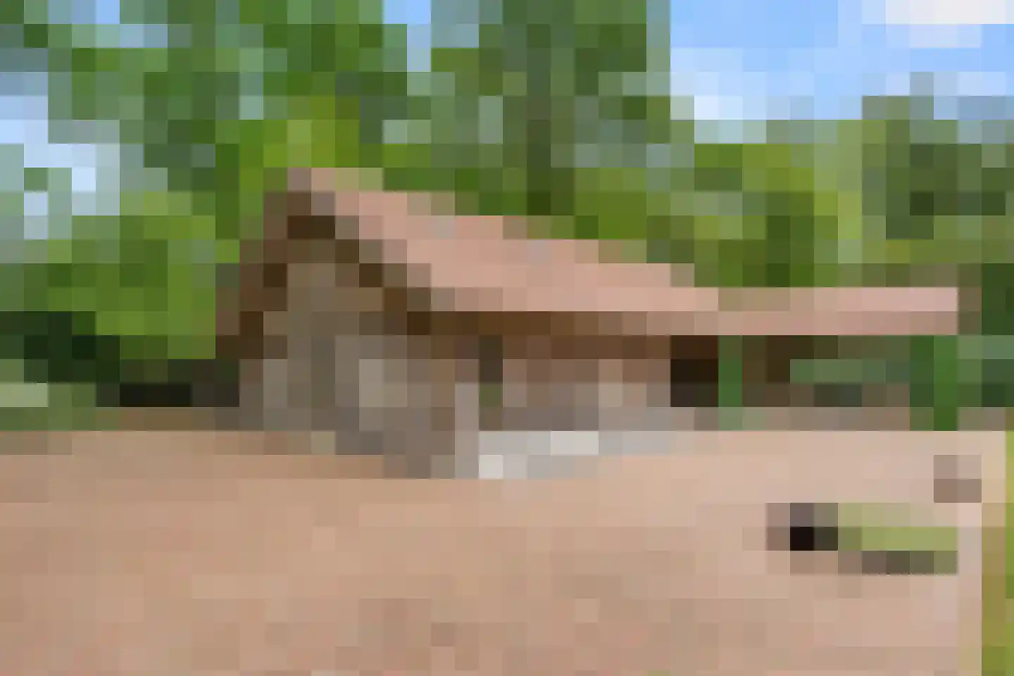 Mosweg 1 A Bennekom thumbnail 38