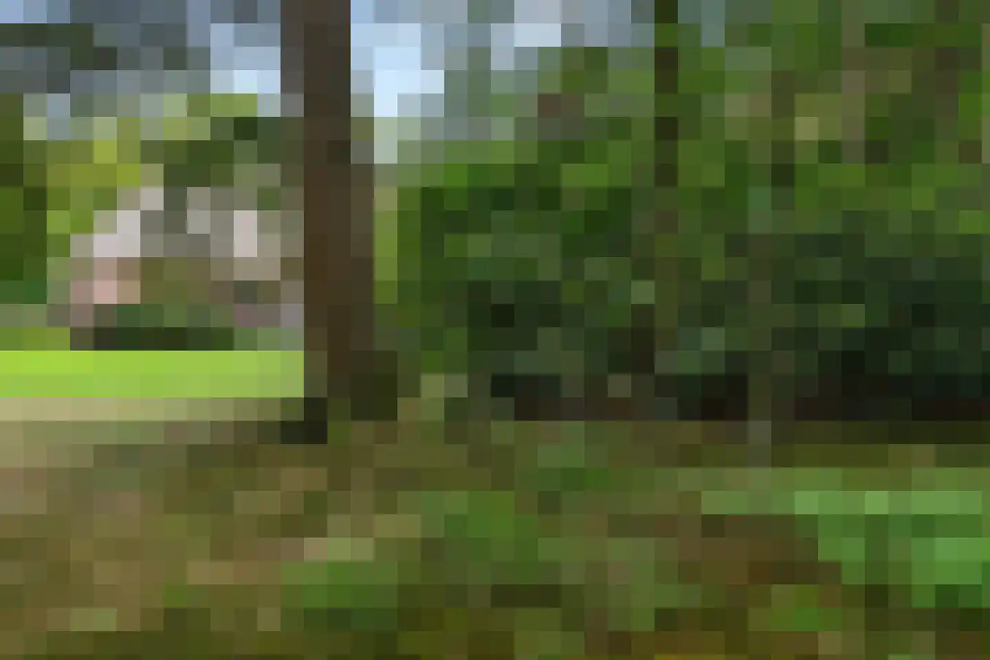 Mosweg 1 A Bennekom thumbnail 49
