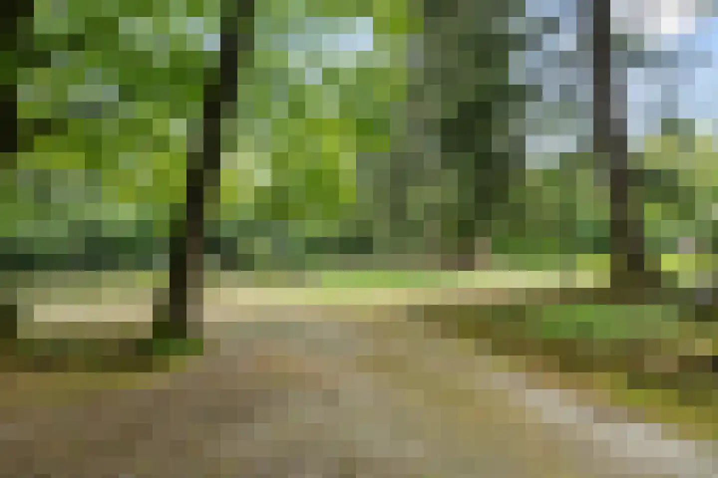 Mosweg 1 A Bennekom thumbnail 50