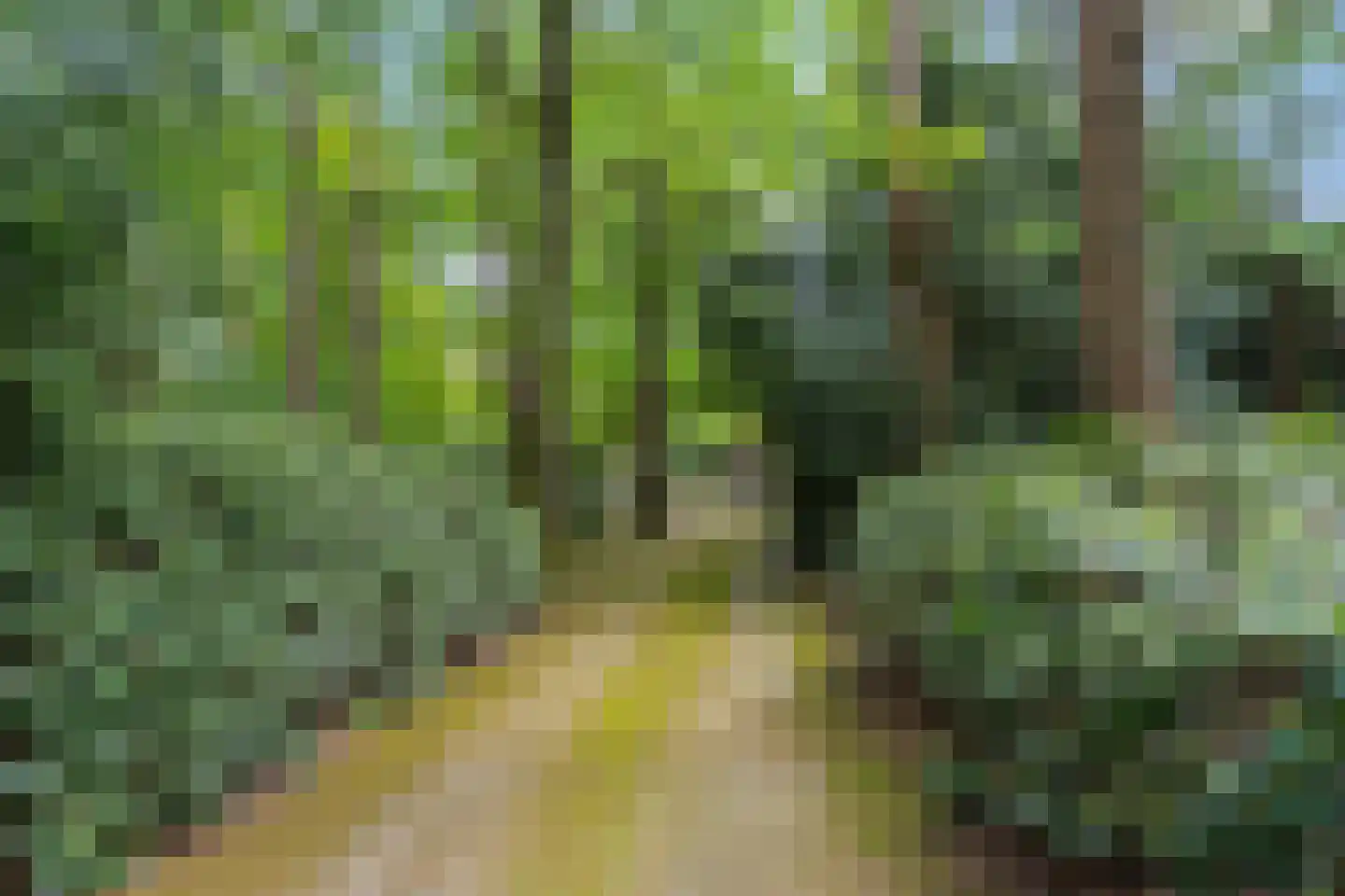 Mosweg 1 A Bennekom thumbnail 51