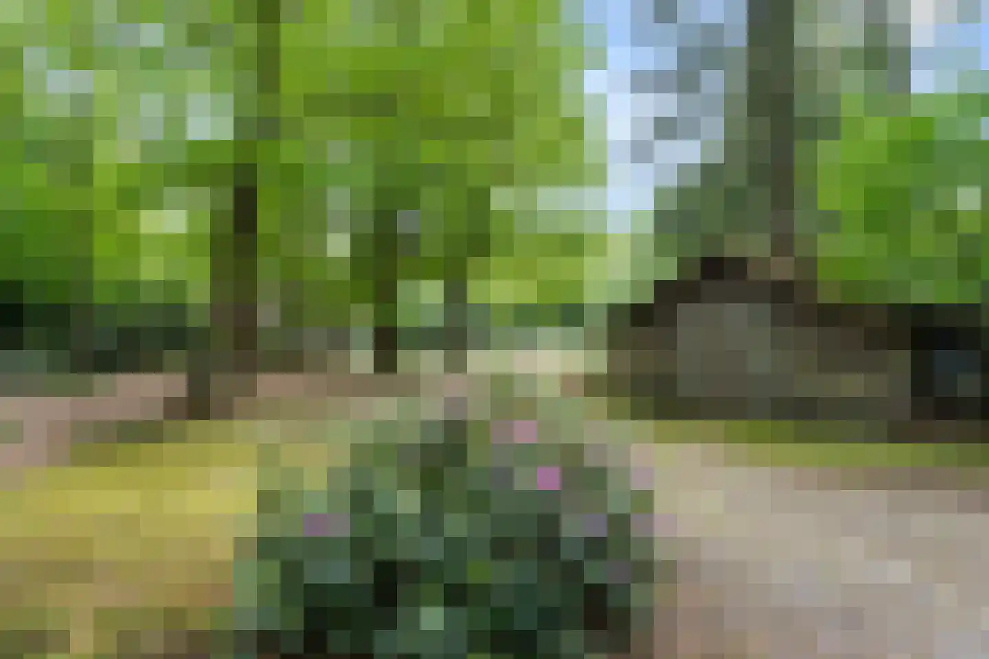 Mosweg 1 A Bennekom thumbnail 52