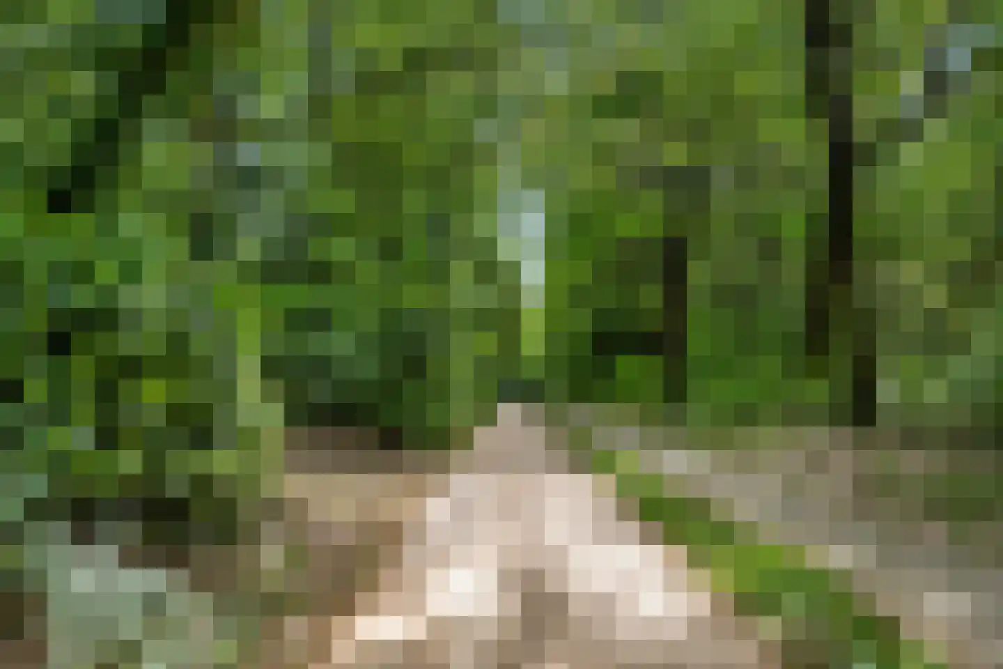 Mosweg 1 A Bennekom thumbnail 53