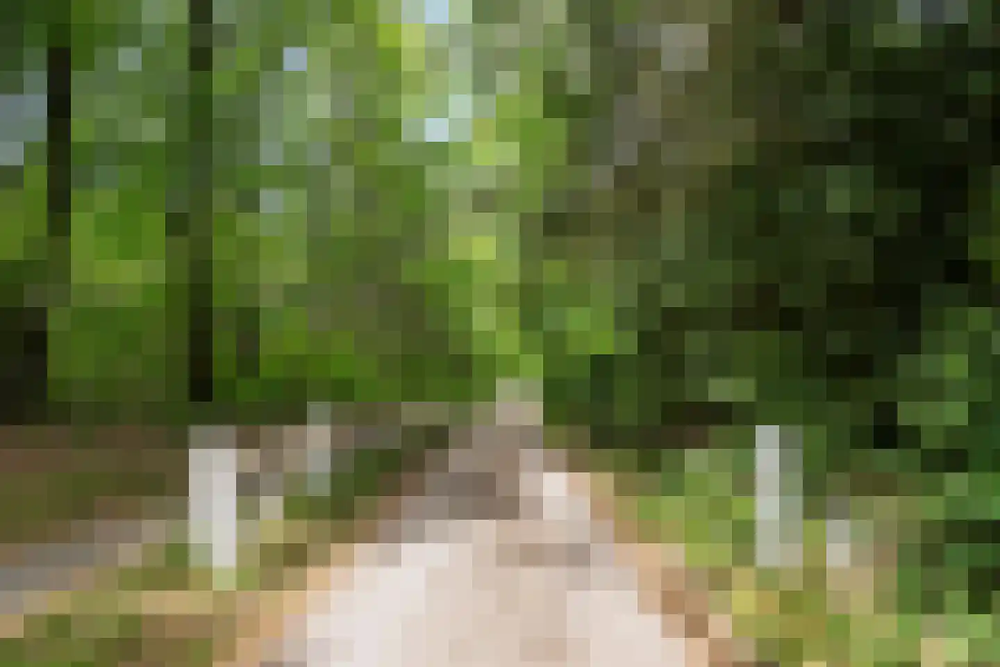 Mosweg 1 A Bennekom thumbnail 54
