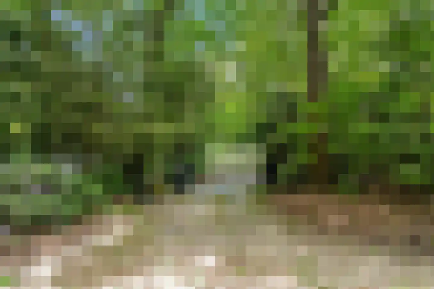 Mosweg 1 A Bennekom thumbnail 55