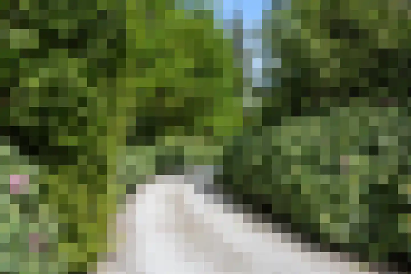 Mosweg 1 A Bennekom thumbnail 57