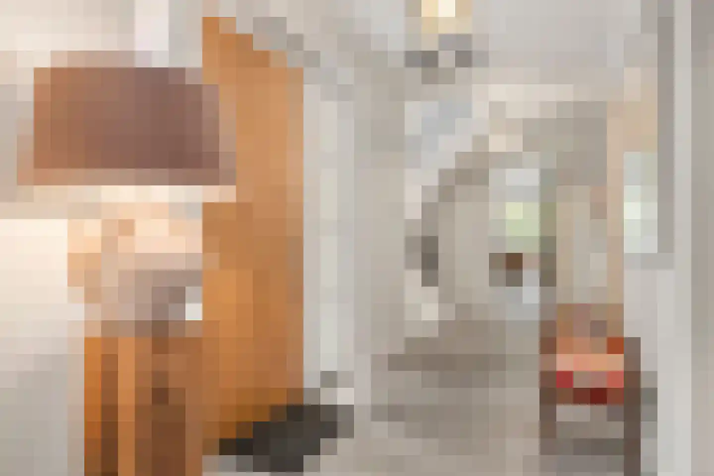 Mosweg 1 A Bennekom thumbnail 59
