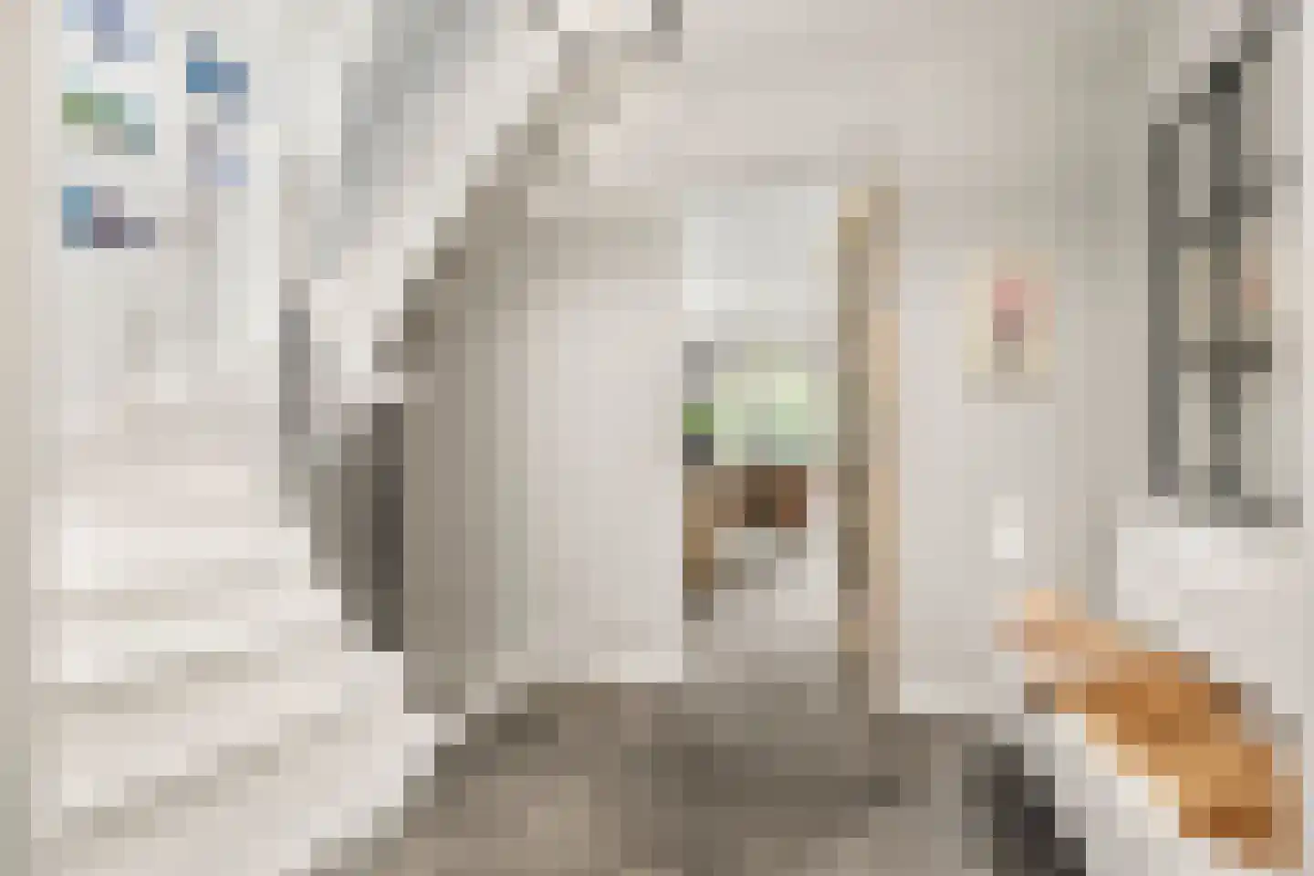 Mosweg 1 A Bennekom thumbnail 60