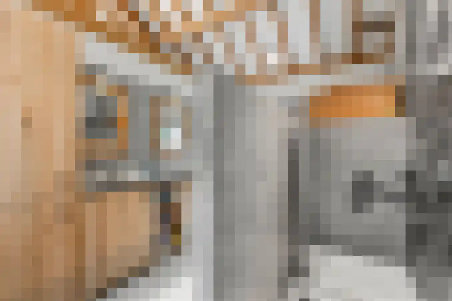 Mosweg 1 A Bennekom thumbnail 84