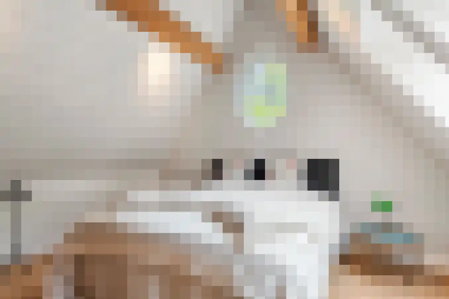 Mosweg 1 A Bennekom thumbnail 90