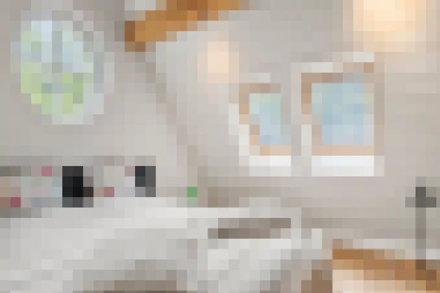Mosweg 1 A Bennekom thumbnail 91