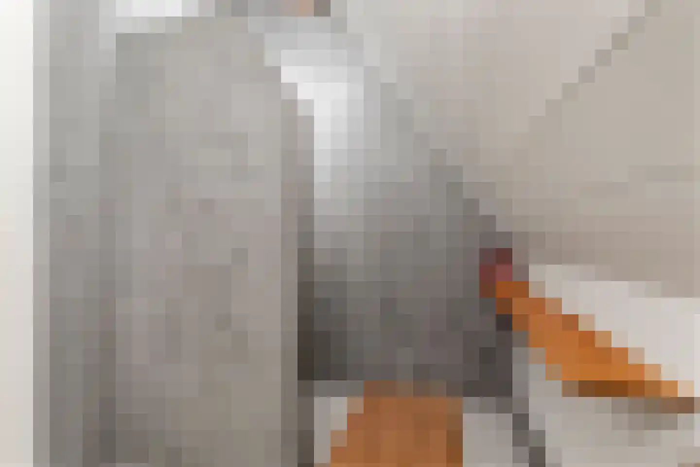 Mosweg 1 A Bennekom thumbnail 97
