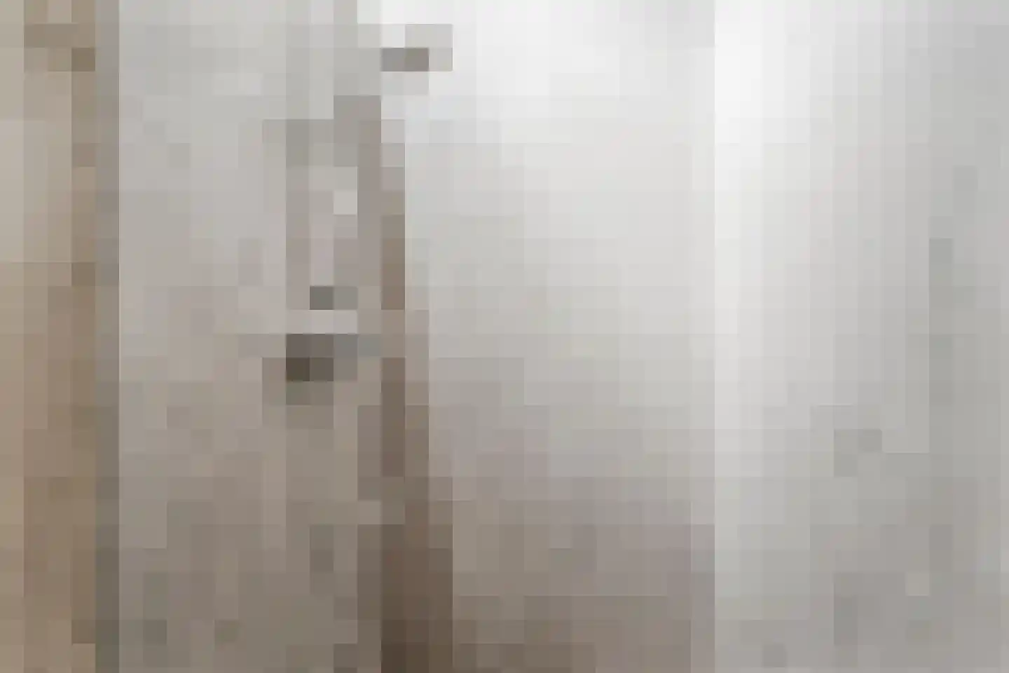 Mosweg 1 A Bennekom thumbnail 98