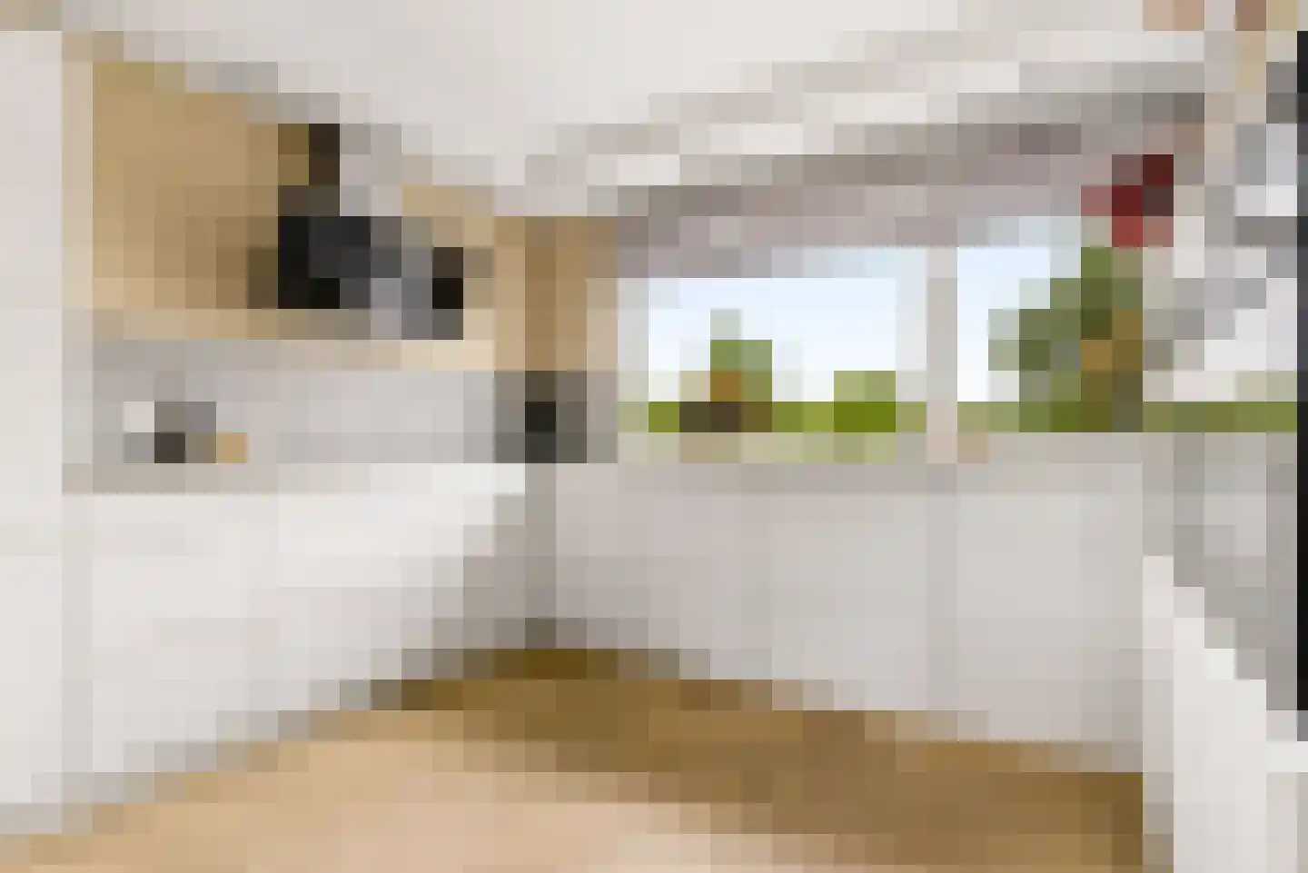 Mosweg 19 Almere thumbnail 12