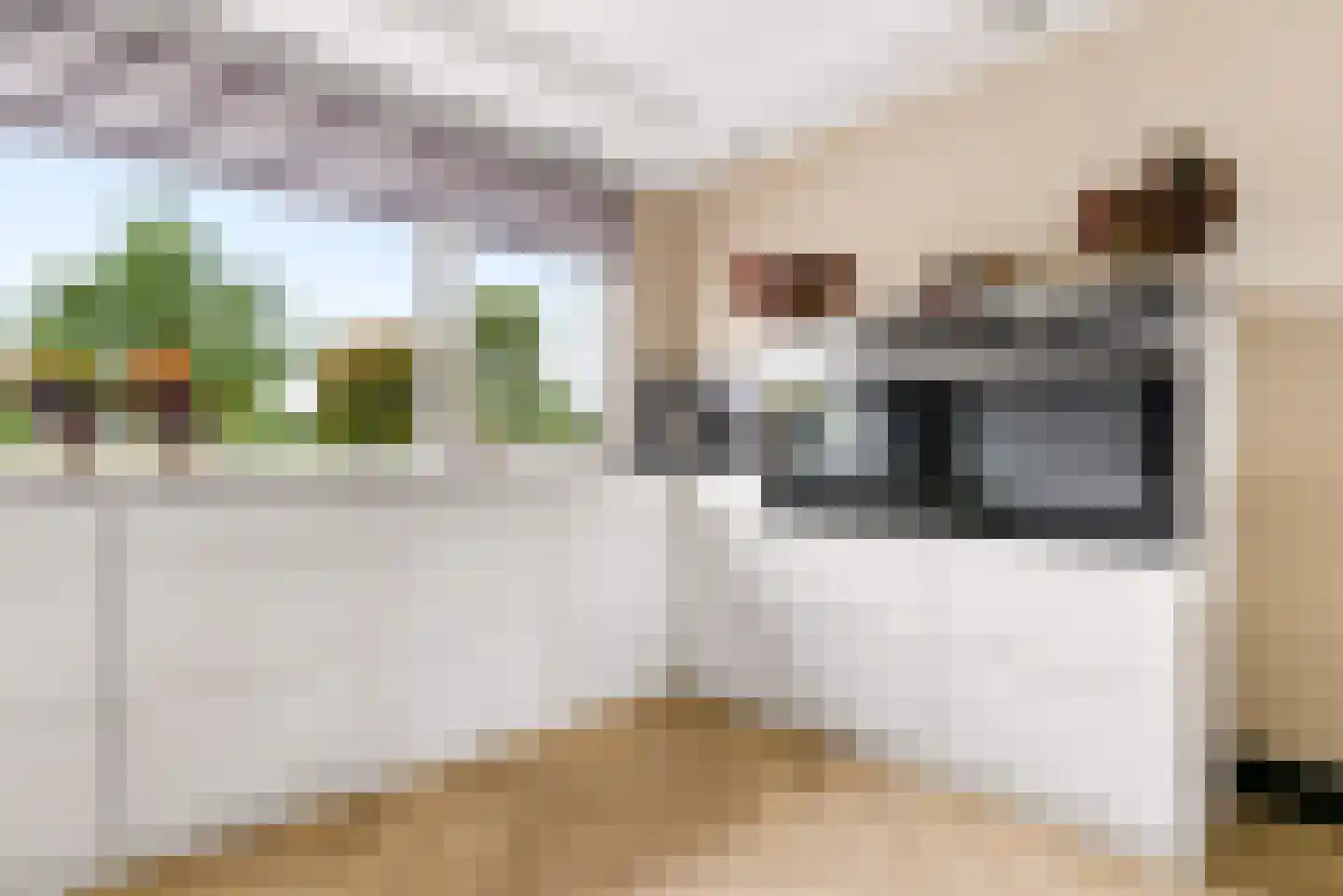 Mosweg 19 Almere thumbnail 13