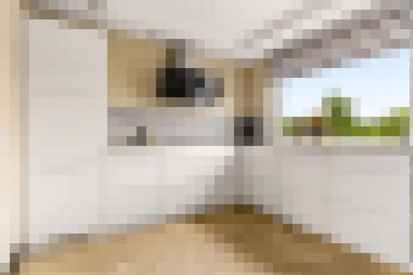 Mosweg 19 Almere thumbnail 14