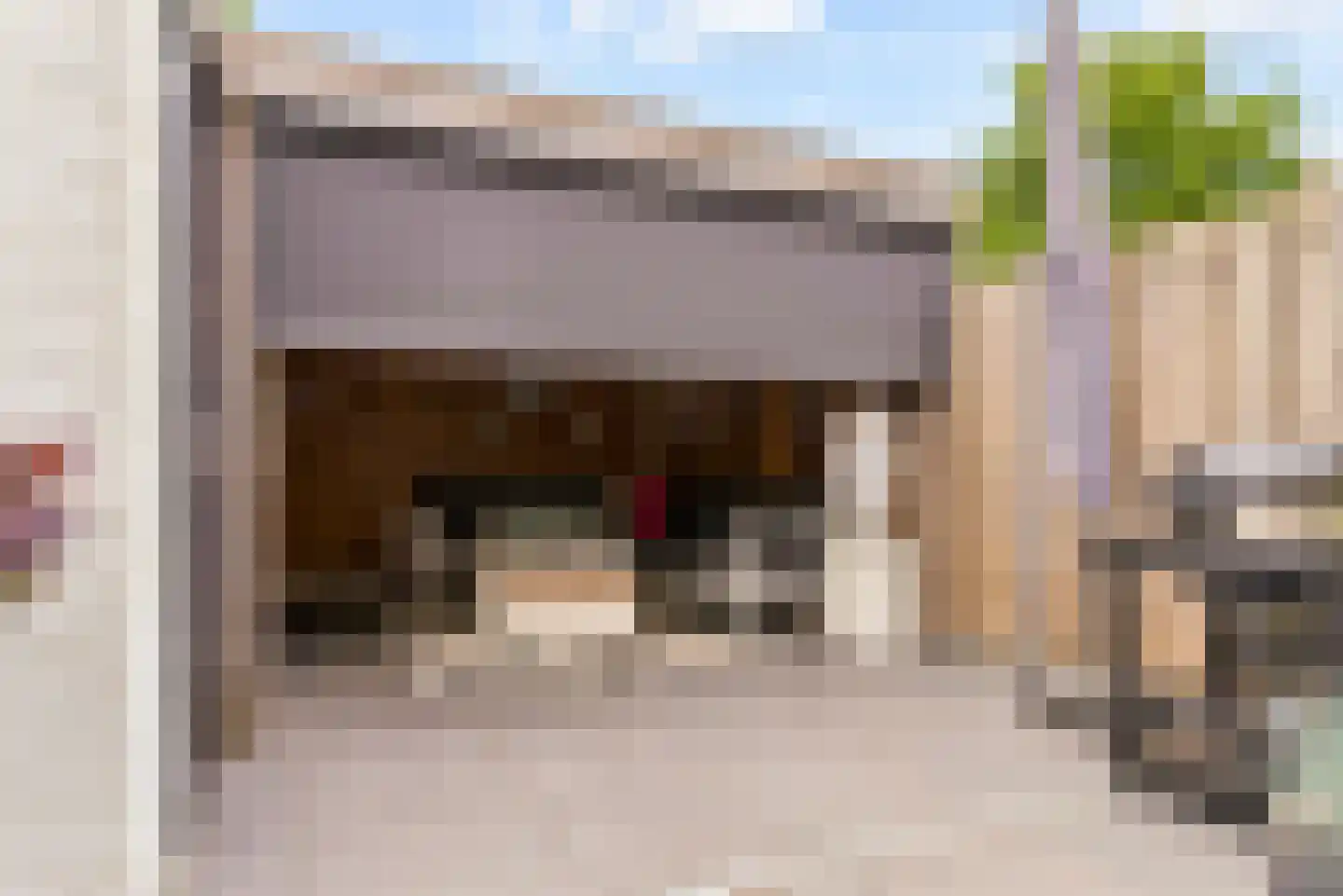 Mosweg 19 Almere thumbnail 23