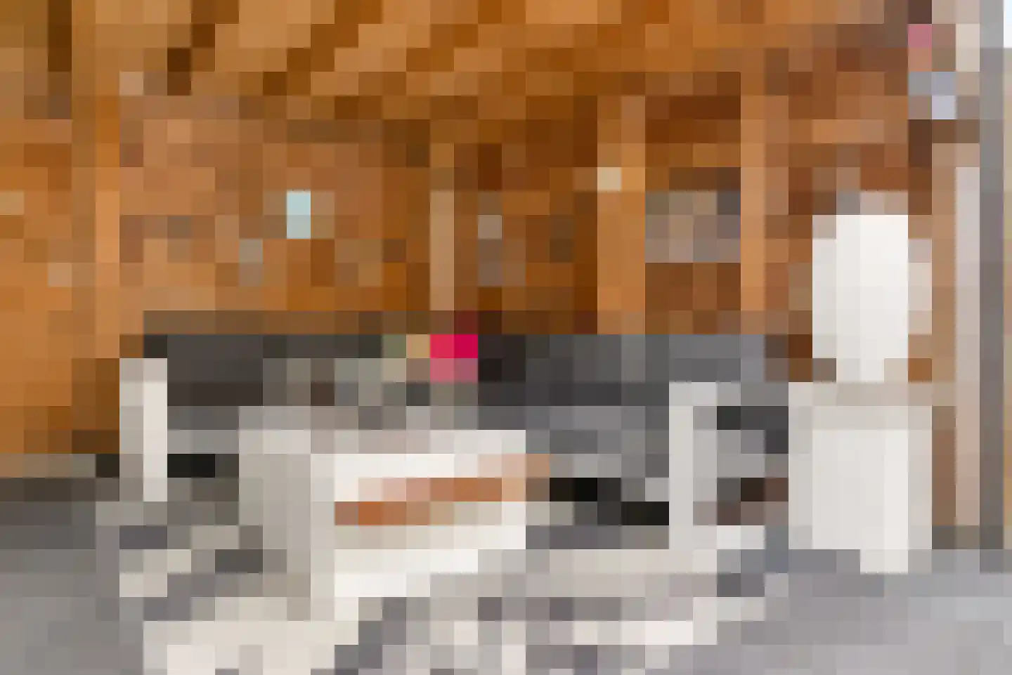 Mosweg 19 Almere thumbnail 24