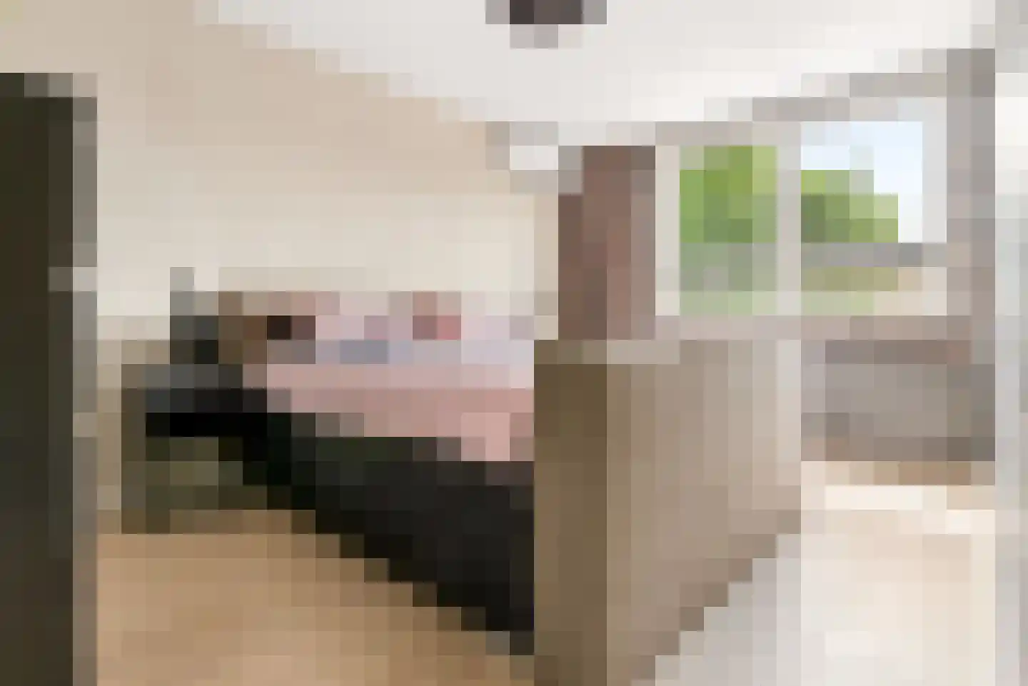 Mosweg 19 Almere thumbnail 26