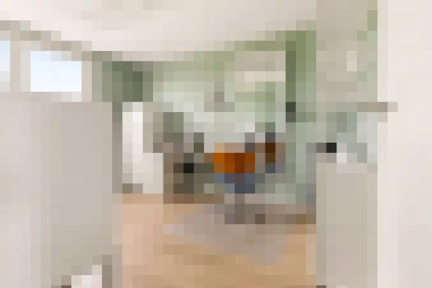 Mosweg 19 Almere thumbnail 28