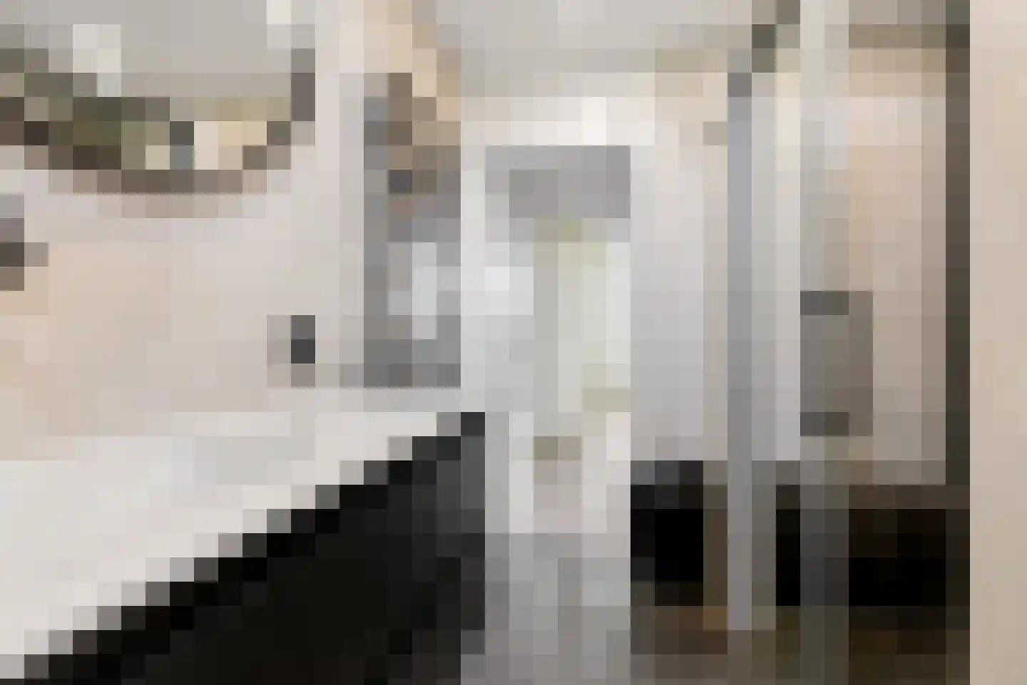 Mosweg 19 Almere thumbnail 34