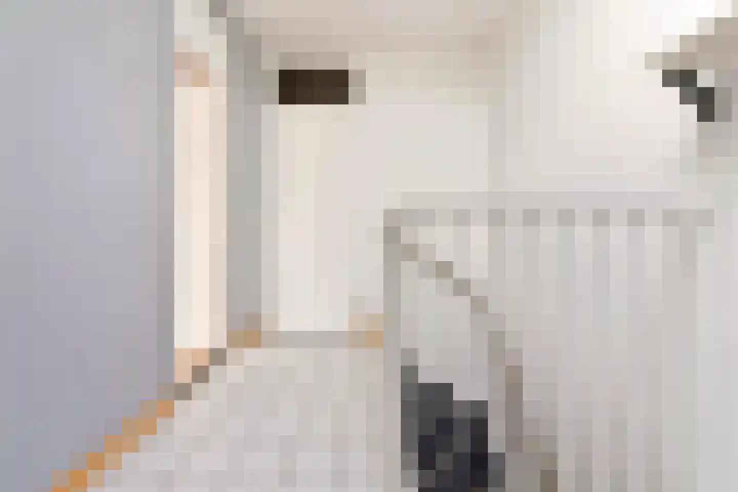 Mosweg 19 Almere thumbnail 36