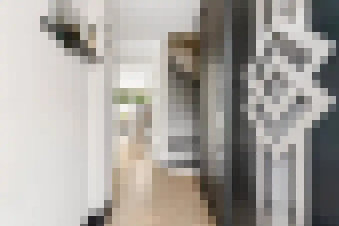 Mosweg 19 Almere thumbnail 39