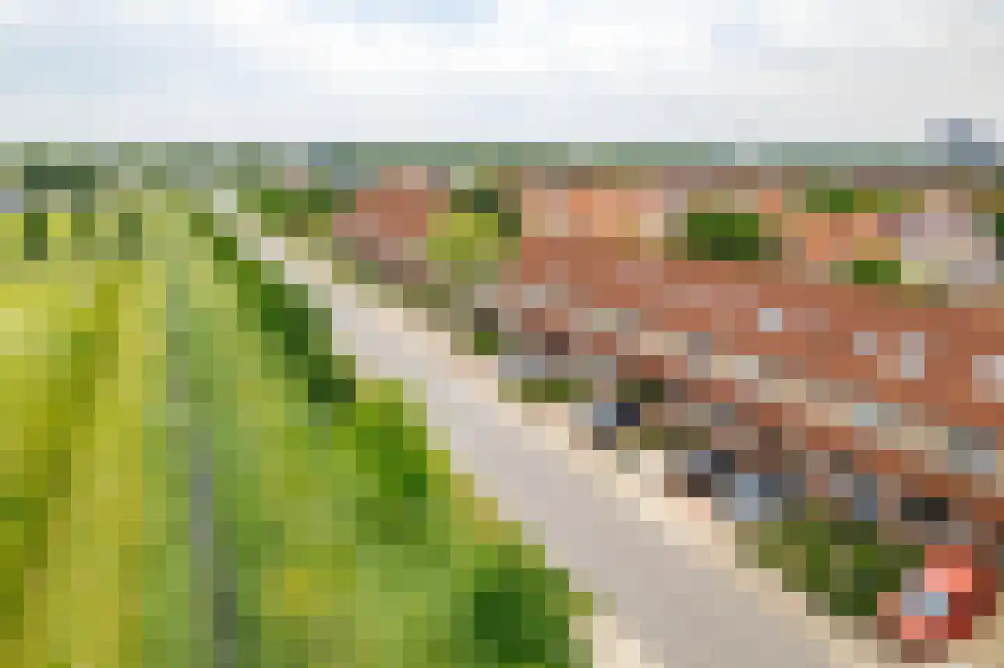 Mosweg 19 Almere thumbnail 55