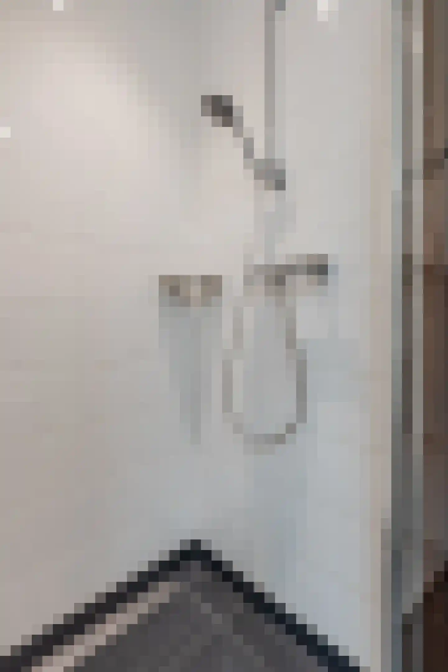 Mosweg 26 Wapenveld thumbnail 27