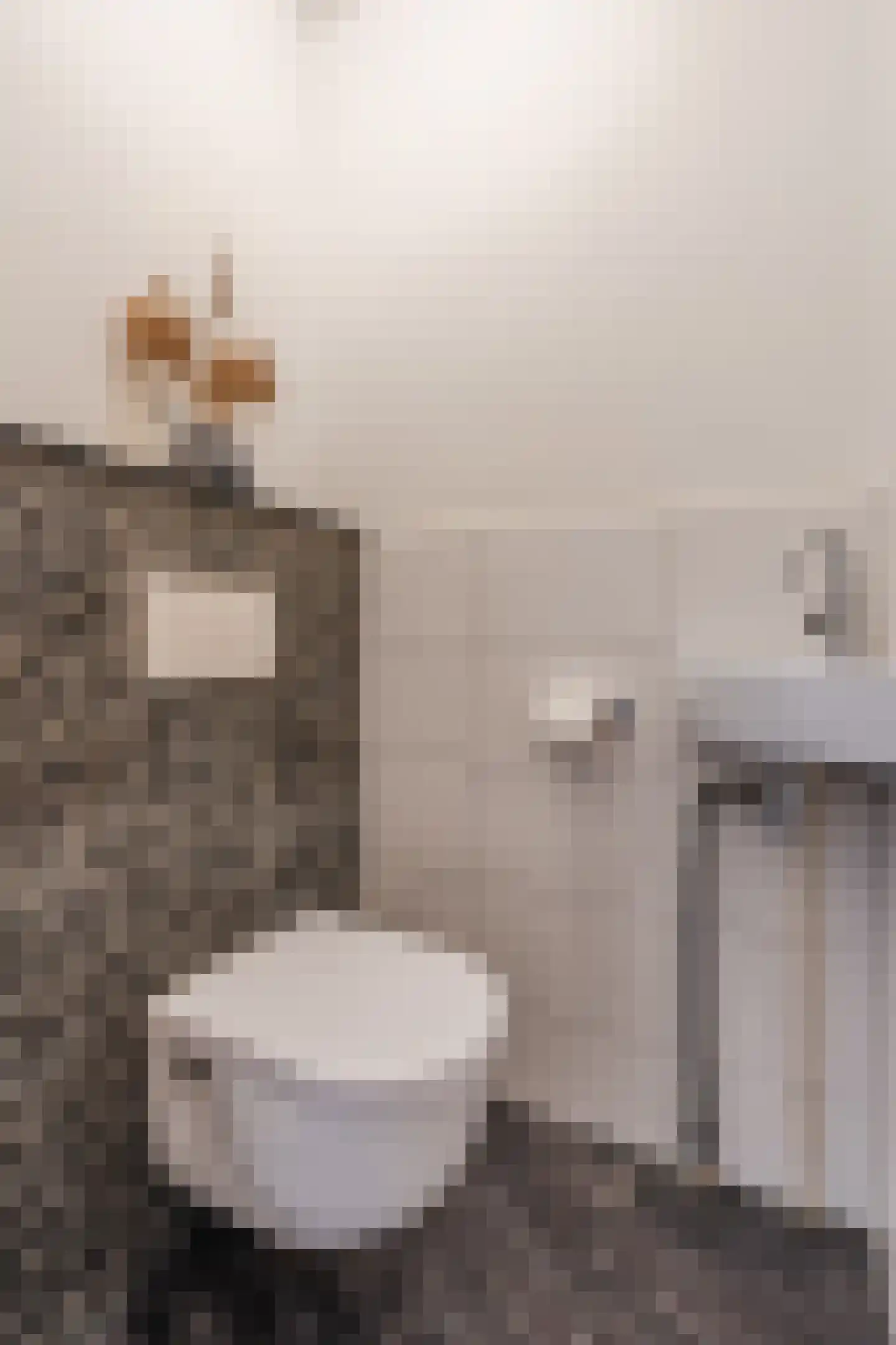Mosweg 26 Wapenveld thumbnail 30