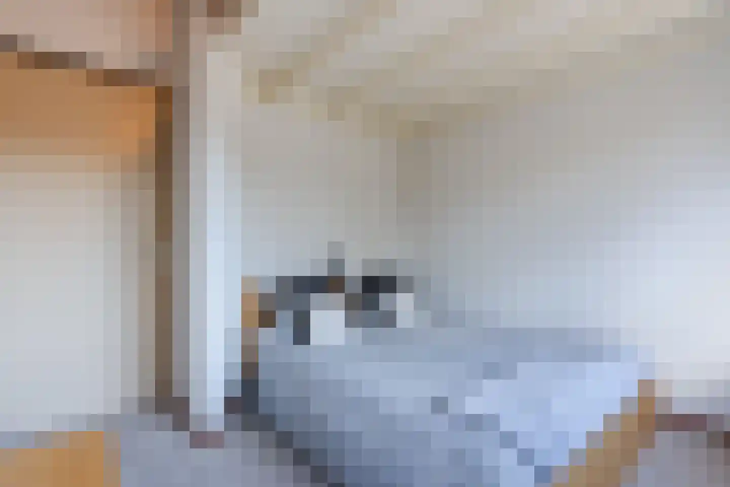 Mosweg 26 Wapenveld thumbnail 38