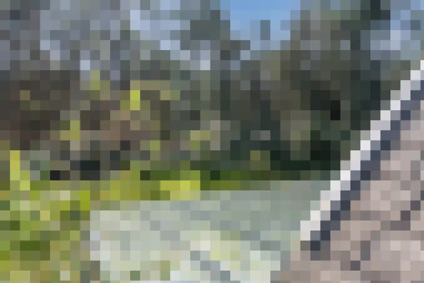 Mosweg 26 Wapenveld thumbnail 57