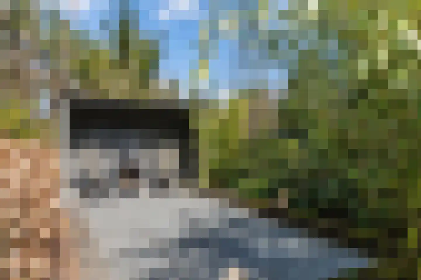 Mosweg 26 Wapenveld thumbnail 68