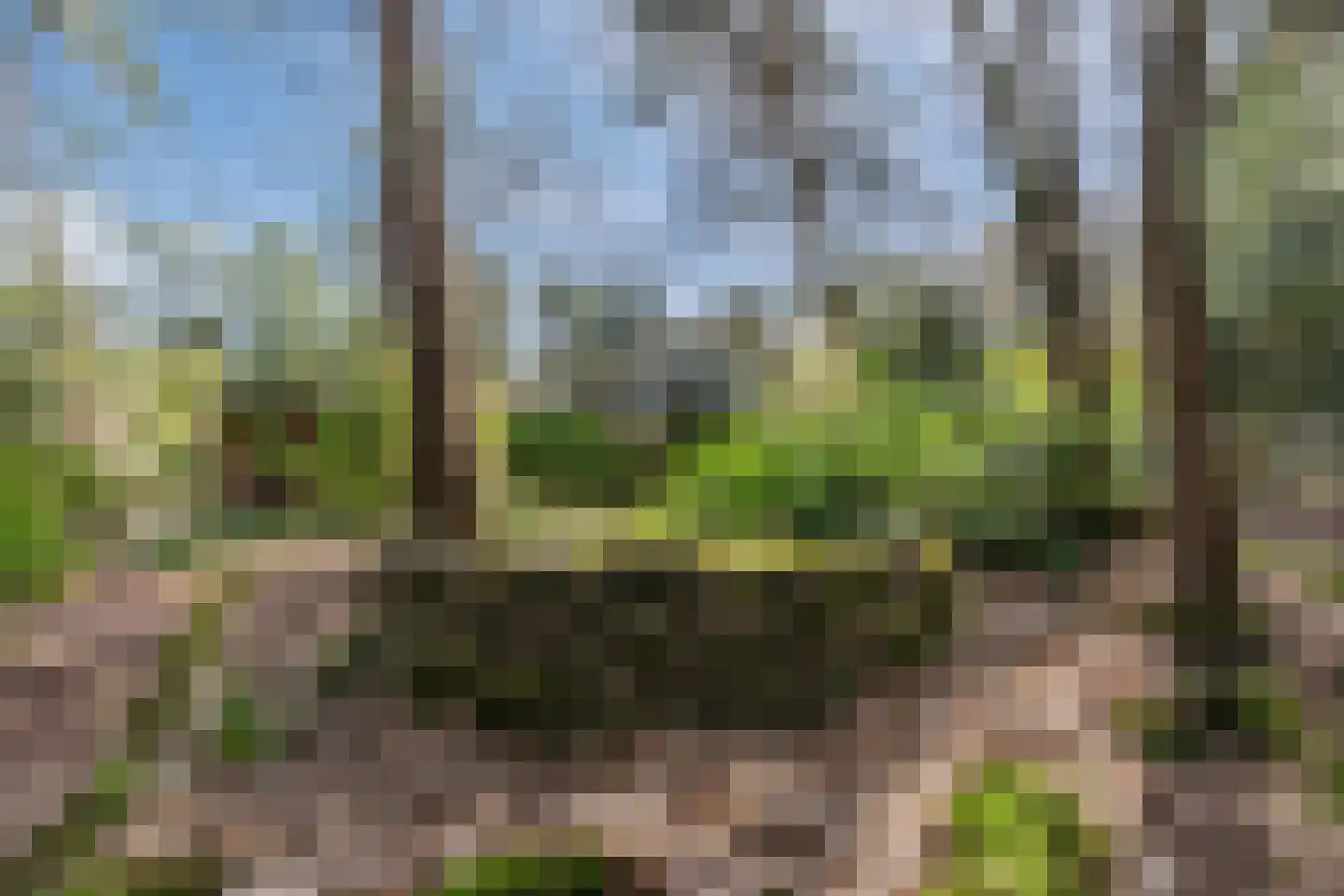 Mosweg 26 Wapenveld thumbnail 71