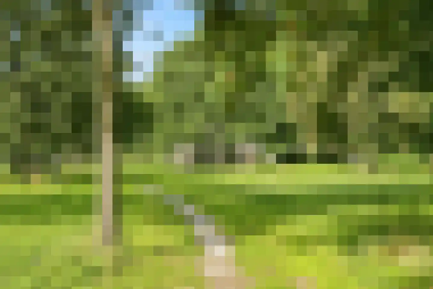 Mosweg 39 Almere thumbnail 38