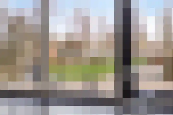 Motet 1 Kampen thumbnail 19