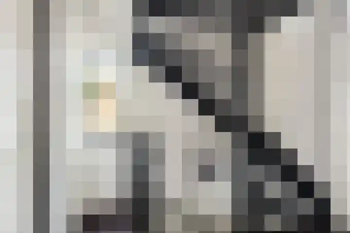 Motet 1 Kampen thumbnail 21