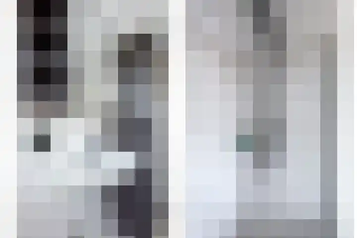 Motet 1 Kampen thumbnail 25