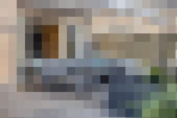 Motet 1 Kampen thumbnail 33