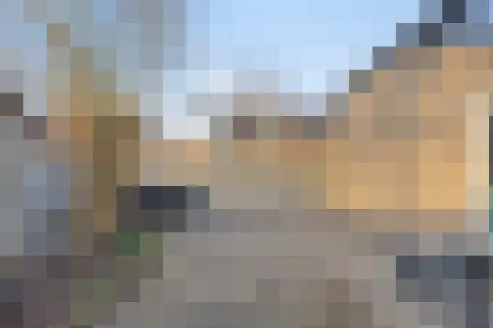 Motet 1 Kampen thumbnail 5