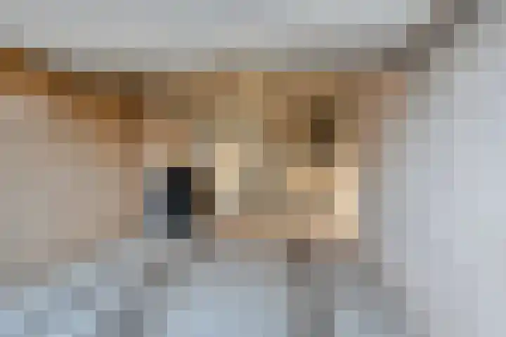 Motet 1 Kampen thumbnail 6