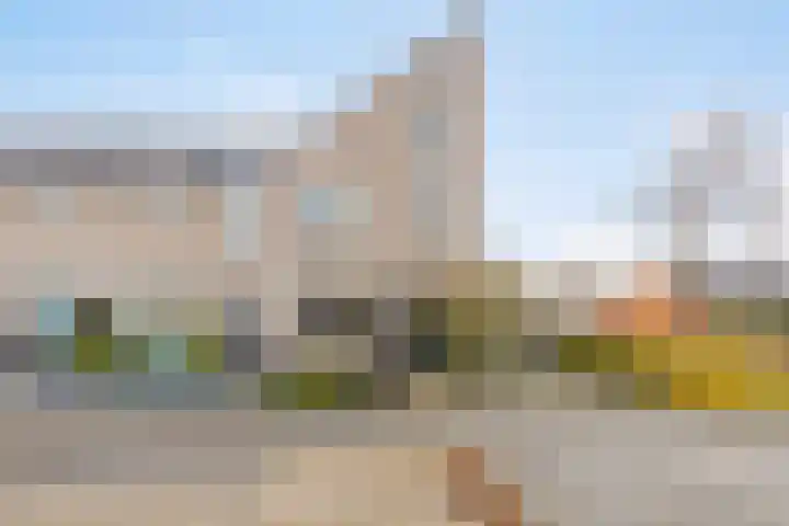 Motet 1 Kampen thumbnail 7