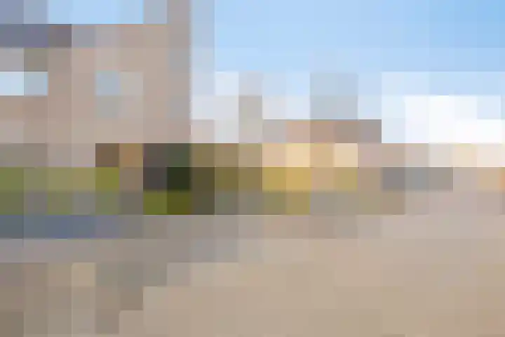 Motet 1 Kampen thumbnail 8
