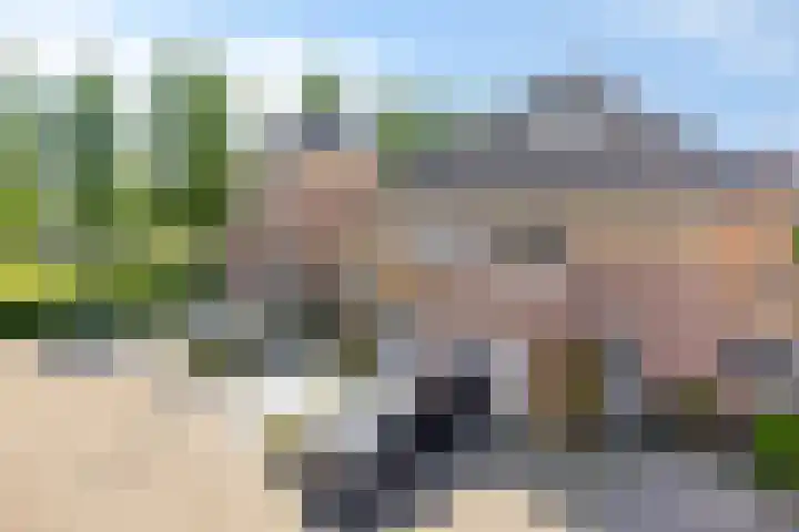 Motet 14 Kampen thumbnail 10