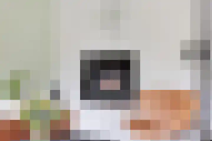 Motet 14 Kampen thumbnail 18