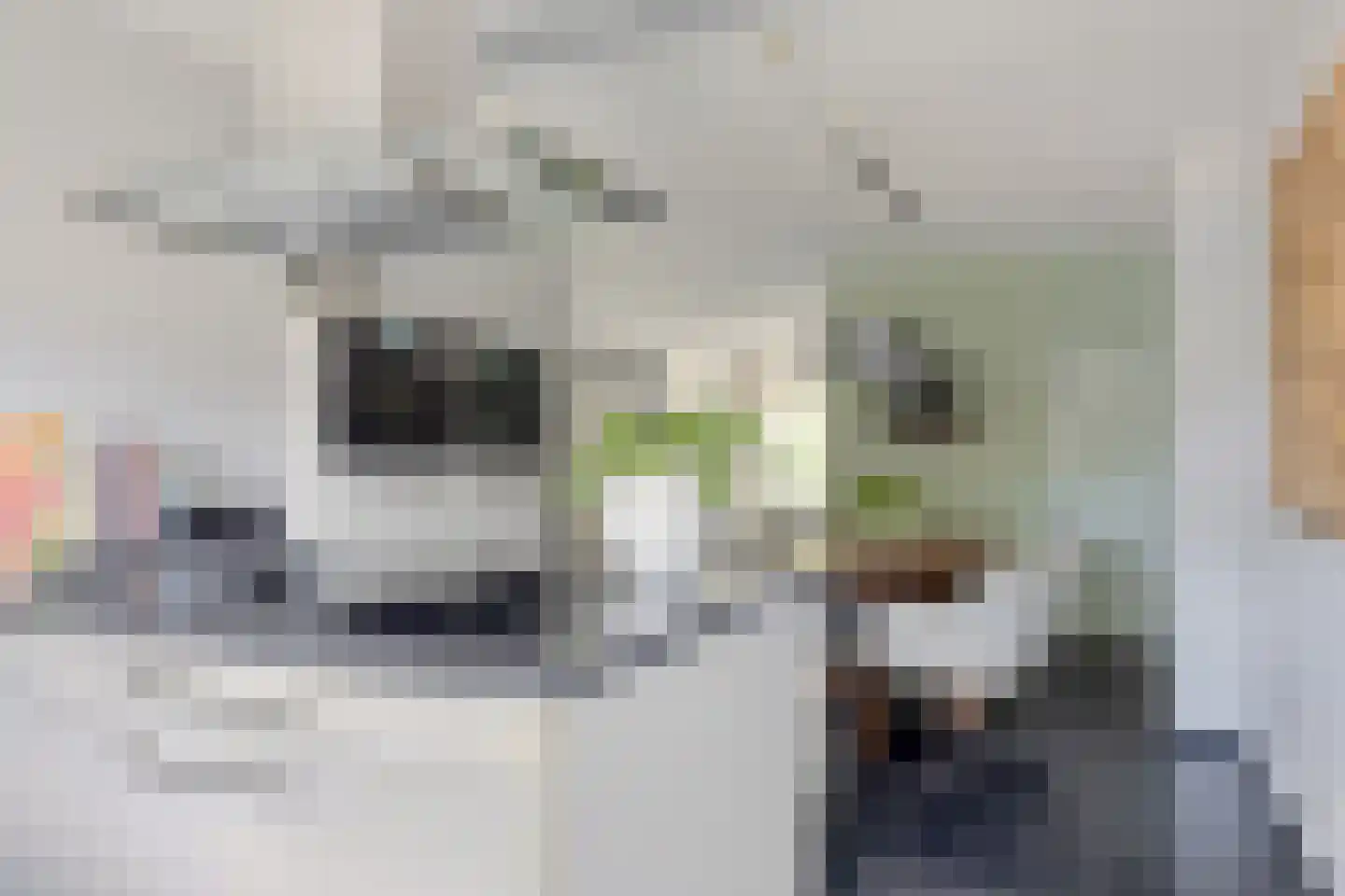 Motet 14 Kampen thumbnail 25