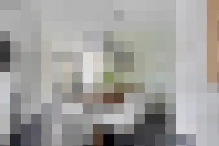 Motet 14 Kampen thumbnail 26