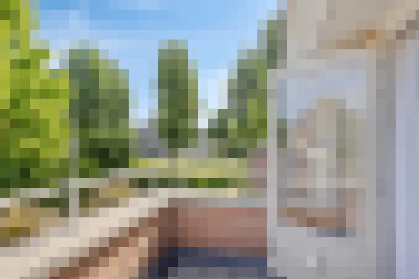 Motet 14 Kampen thumbnail 35