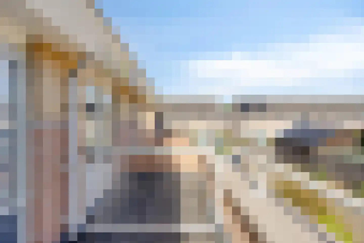Motet 14 Kampen thumbnail 36